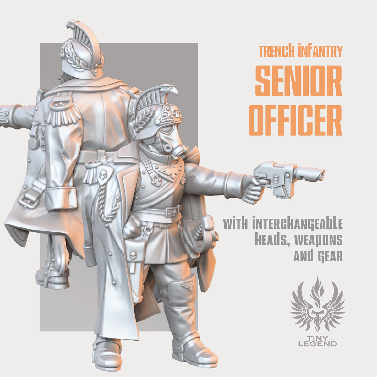 Infantry Senior Officer