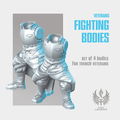 Veterans Fighting Bodies STL