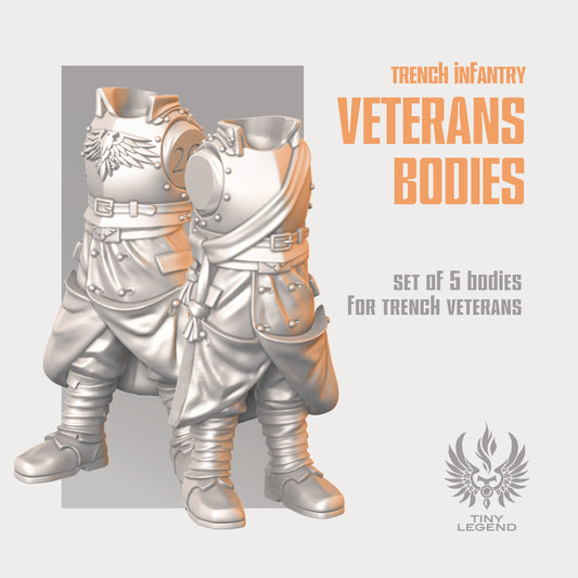 Infantry Veterans Bodies