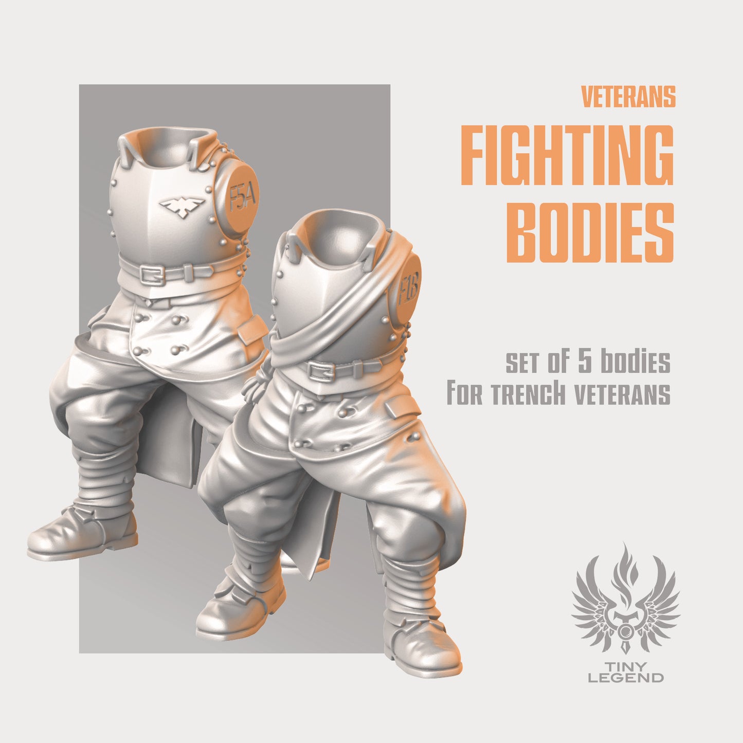 Veterans Fighting Bodies