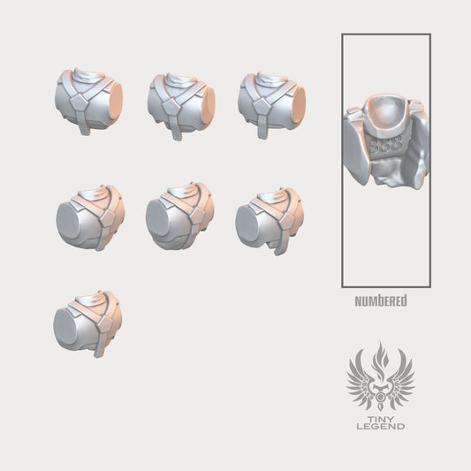 Shock Troops Back Pieces