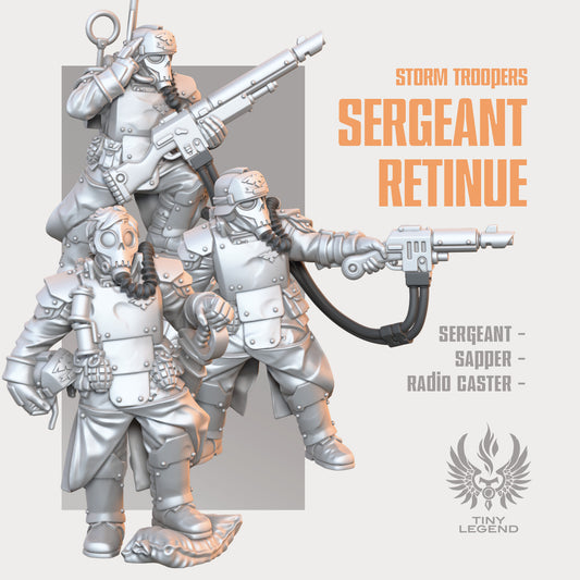 Storm Troopers Sergeant Retinue